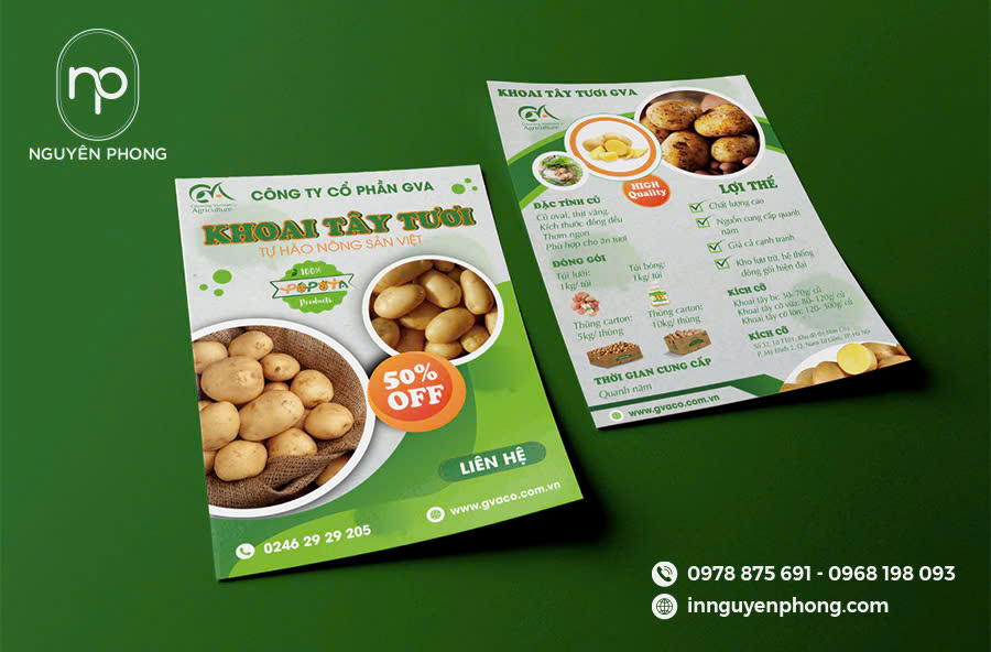 Tờ rơi quảng cáo sản phẩm khoai tây